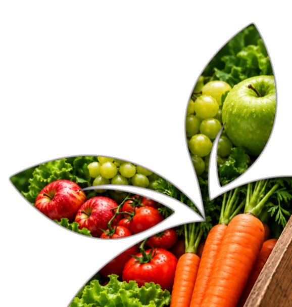 Świeże owoce i warzywa – jabłka, winogrona, pomidory i marchew – wpisane w graficzny motyw liści McFresh
